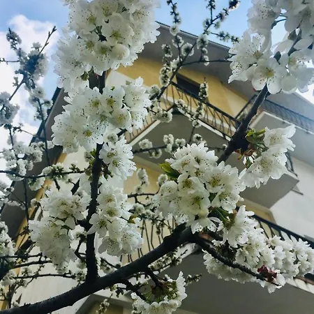 Apartment Dimora Del Cuore